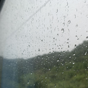 五十路翔田千里经典歌曲
