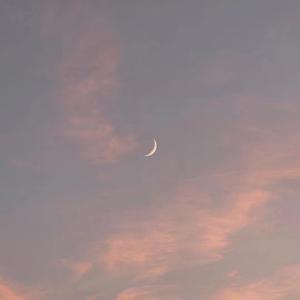 五十路翔田千里经典歌曲
